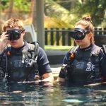 Besten Tauchschulen auf Koh Phangan &ndash; &Uuml;berpr&uuml;fung 2024
