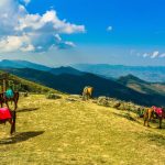 Die Besten Orte Zum Reiten In Chiang Mai