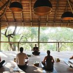 Die Besten Yoga Studios Und Kurse Auf Koh Tao &ndash; Leitfaden 2023