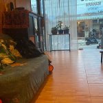 Erstaunliche Massage-Spas in Koh Tao &ndash; Reisef&uuml;hrer f&uuml;r das Jahr 2024