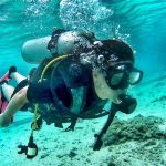 Tauchen in Koh Tao Reisef&uuml;hrer f&uuml;r 2024