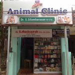 Tierkliniken in Chiang Mai – Aktualisierung 2024