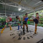 Top 5 Muay Thai Gyms auf Koh Samui &ndash; [&Uuml;bersicht 2024]