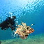 Schnorcheln in Koh Lanta