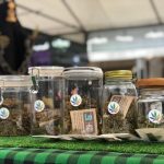 Die 7 besten Apotheken in Koh Tao &ndash; [Aktualisierung 2024]