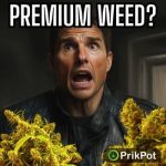 Beste Apotheken in Koh Lipe - [Liste 2024]